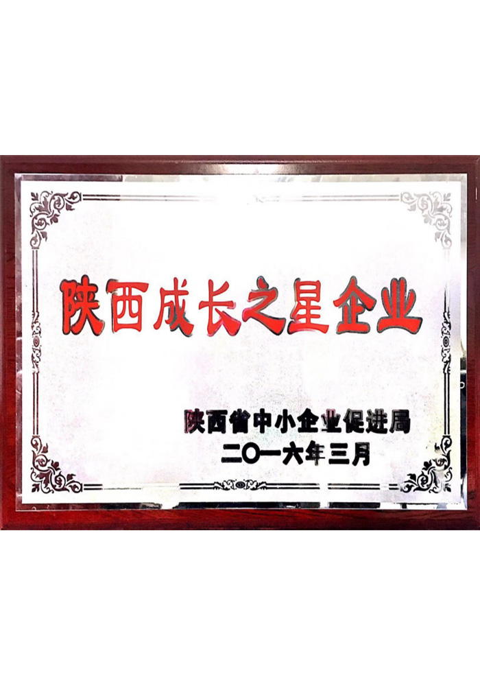 陜西成長(zhǎng)之星企業(yè)